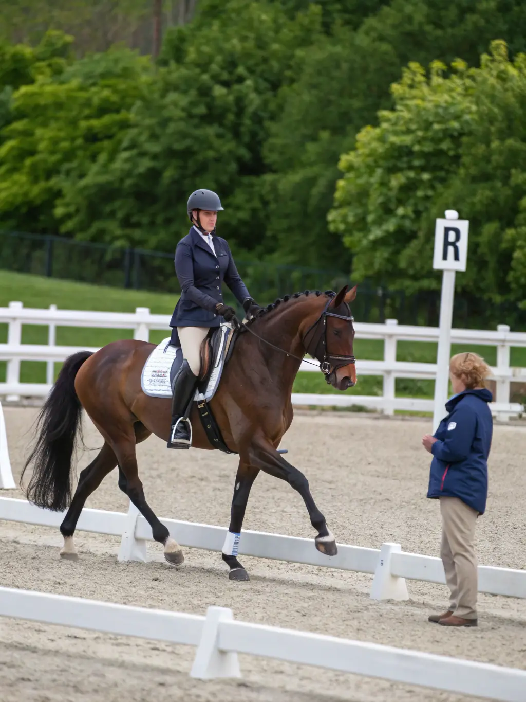 A dynamic image of students in equestrian attire riding elegant horses at a prestigious Spanish equestrian academy, with traditional architecture in the background. The image is used to highlight equestrian programs.